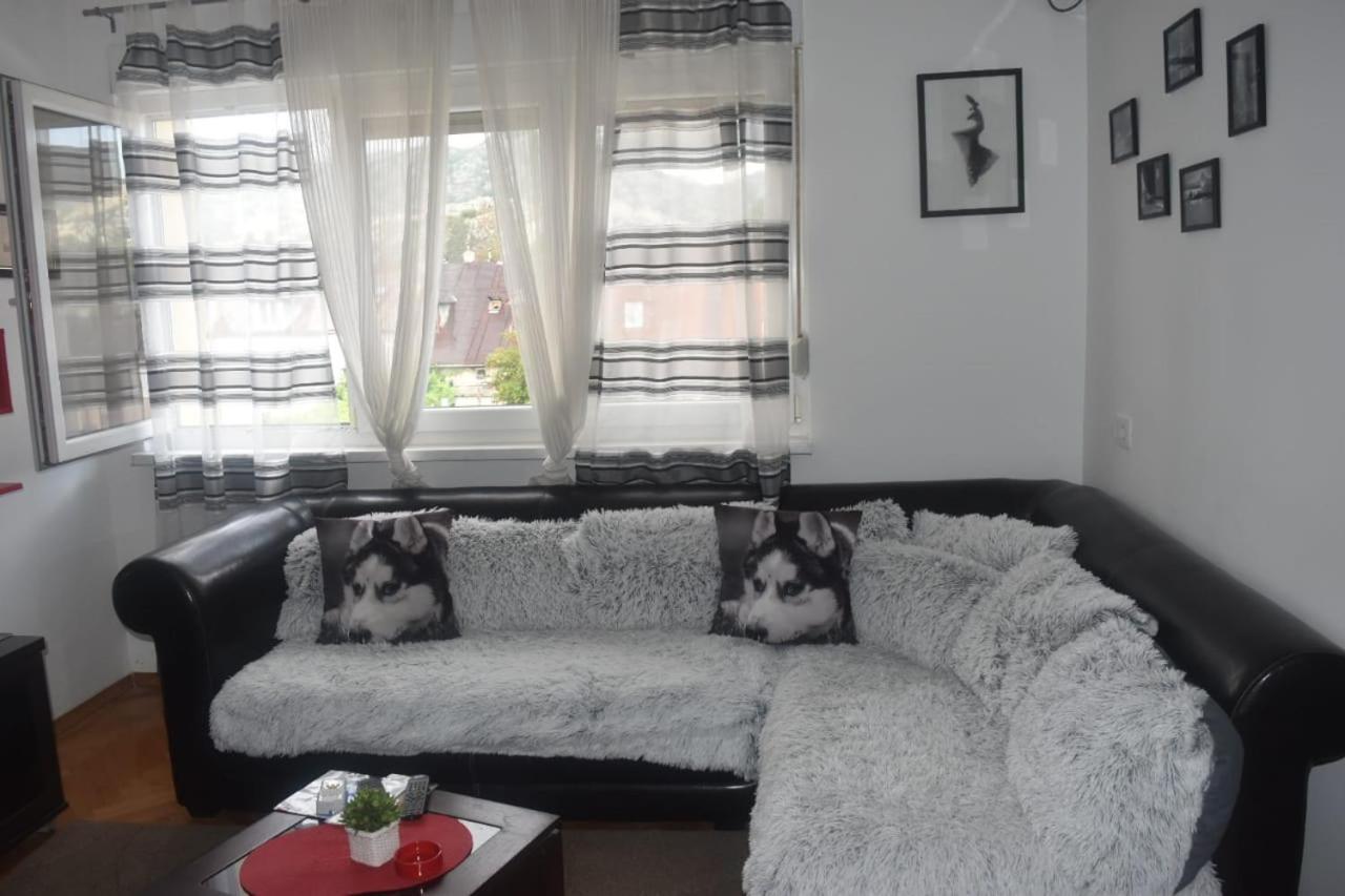 Apartment Tea ツェティニェ エクステリア 写真